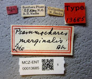 Media type: image;   Entomology 13685 Aspect: labels